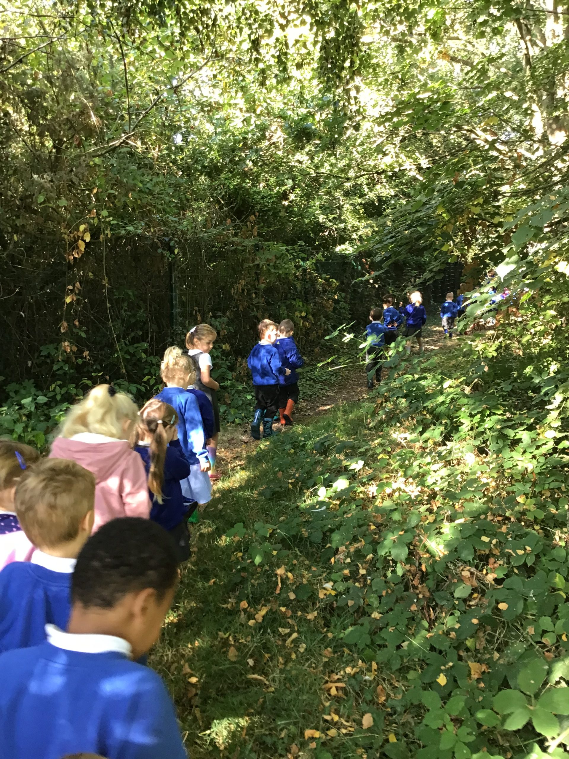 Reception | Parley First School